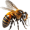 abtbee-02.png abtbee-02.png